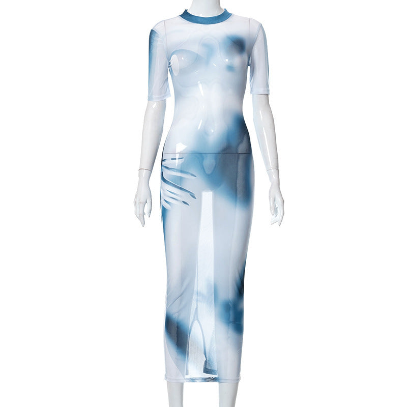 Mesh Print Round Neck Long Dress