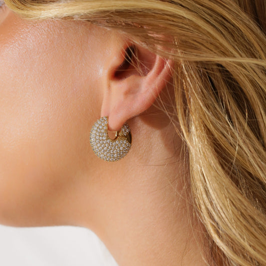 Glam Fiz Earrings by Views & Co