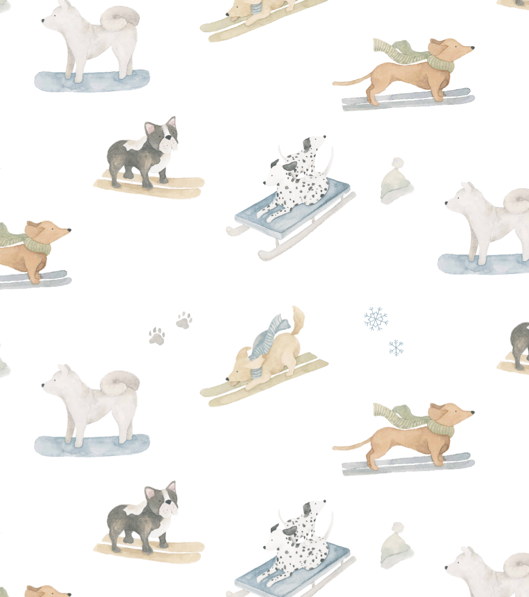 Ski Pups Boy Pima Long Pajama Set