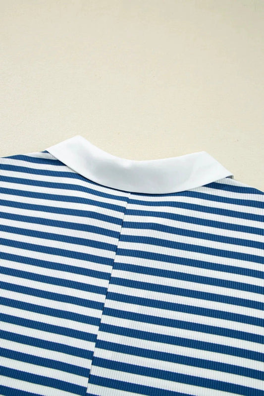 Blue Stripe Short Sleeve Collared V Neck Top Plus Size Short Set by GJG Denim