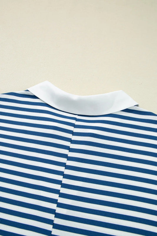 Blue Stripe Short Sleeve Collared V Neck Top Plus Size Short Set