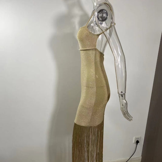 Autumn New Shiny Tassel Sling Dress