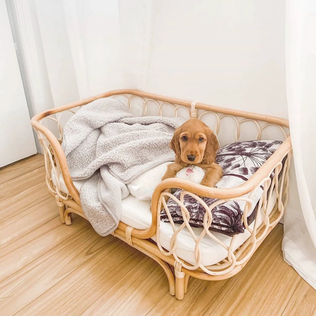 Pet Bed Handmade Rattan Woven Pet Bed Sofa For Dogs by GJG Denim