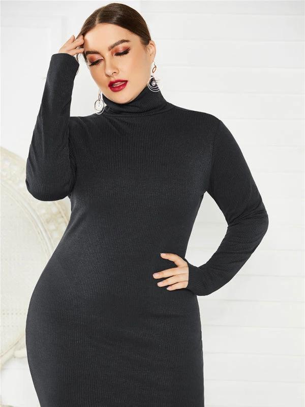 Women's Plus Size Solid Color Knit Turtleneck Long Sleeve Dress by Lady Ros