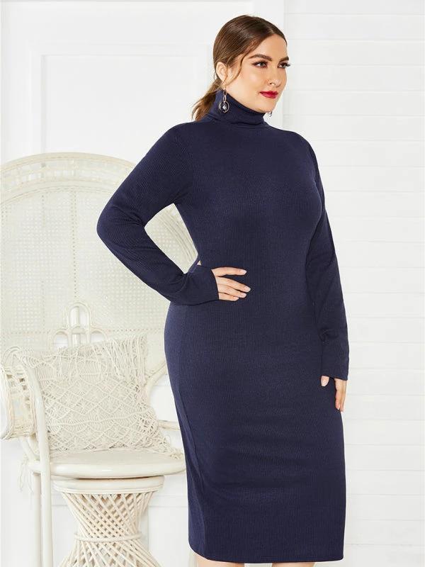 Women's Plus Size Solid Color Knit Turtleneck Long Sleeve Dress by Lady Ros