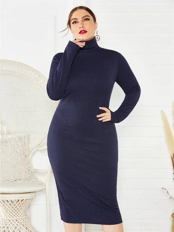 Women's Plus Size Solid Color Knit Turtleneck Long Sleeve Dress by Lady Ros