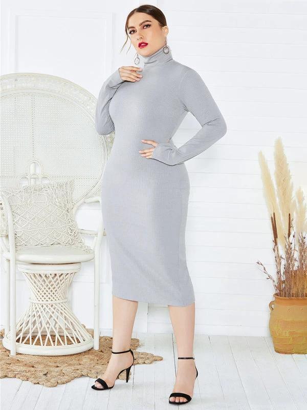 Women's Plus Size Solid Color Knit Turtleneck Long Sleeve Dress by Lady Ros