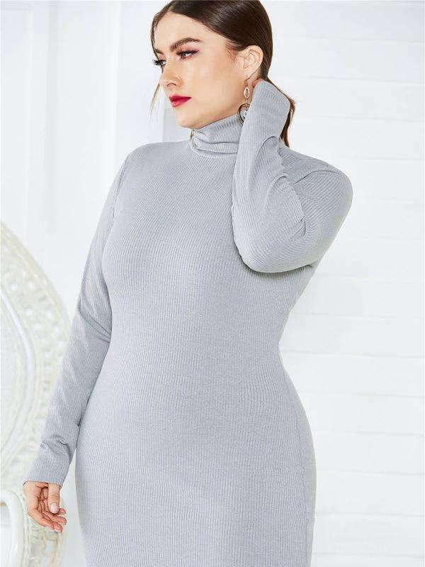 Women's Plus Size Solid Color Knit Turtleneck Long Sleeve Dress by Lady Ros