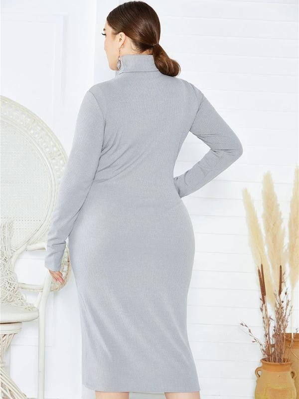 Women's Plus Size Solid Color Knit Turtleneck Long Sleeve Dress by Lady Ros