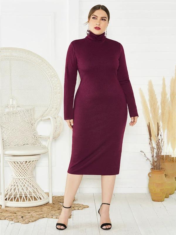 Women's Plus Size Solid Color Knit Turtleneck Long Sleeve Dress by Lady Ros