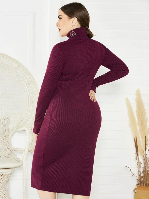 Women's Plus Size Solid Color Knit Turtleneck Long Sleeve Dress by Lady Ros