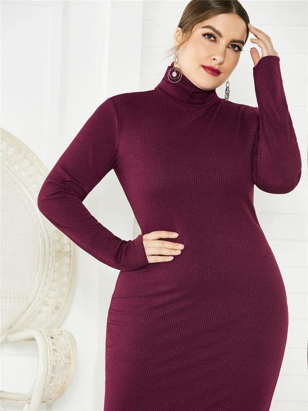 Women's Plus Size Solid Color Knit Turtleneck Long Sleeve Dress by Lady Ros