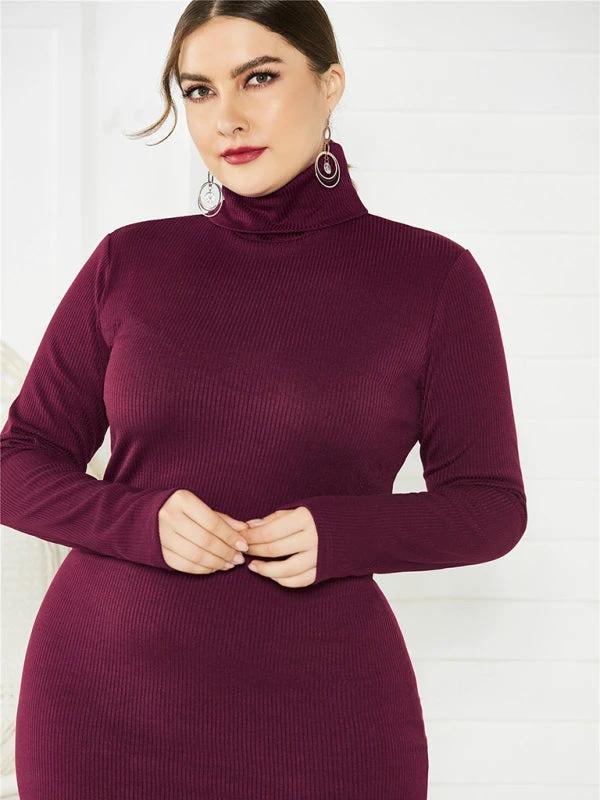 Women's Plus Size Solid Color Knit Turtleneck Long Sleeve Dress by Lady Ros