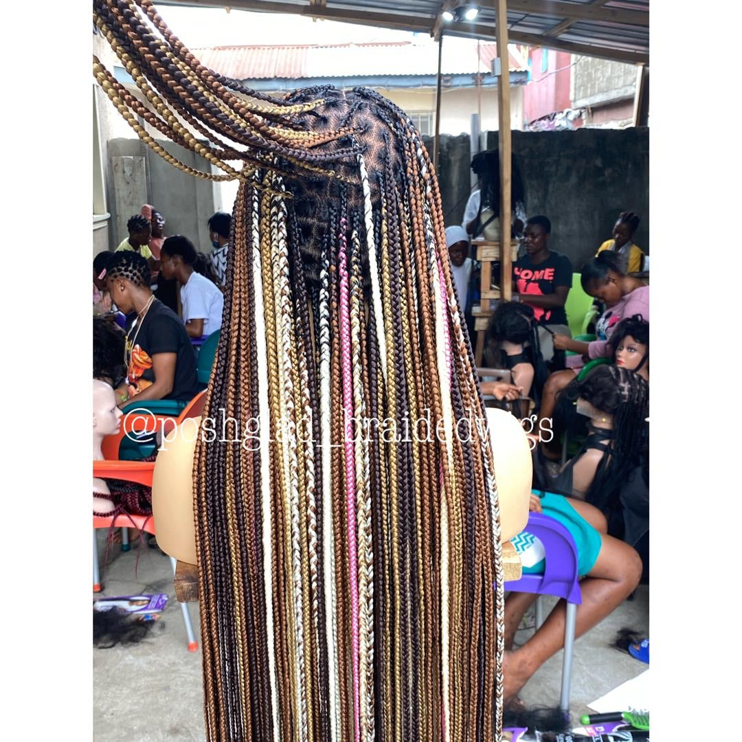 Shade Knotless Braid Wig - Multi Colors Swiss Full Lace